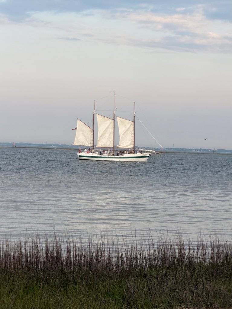 Sailboat with white sails cruising in Charleston Harbor near the Charleston coastline