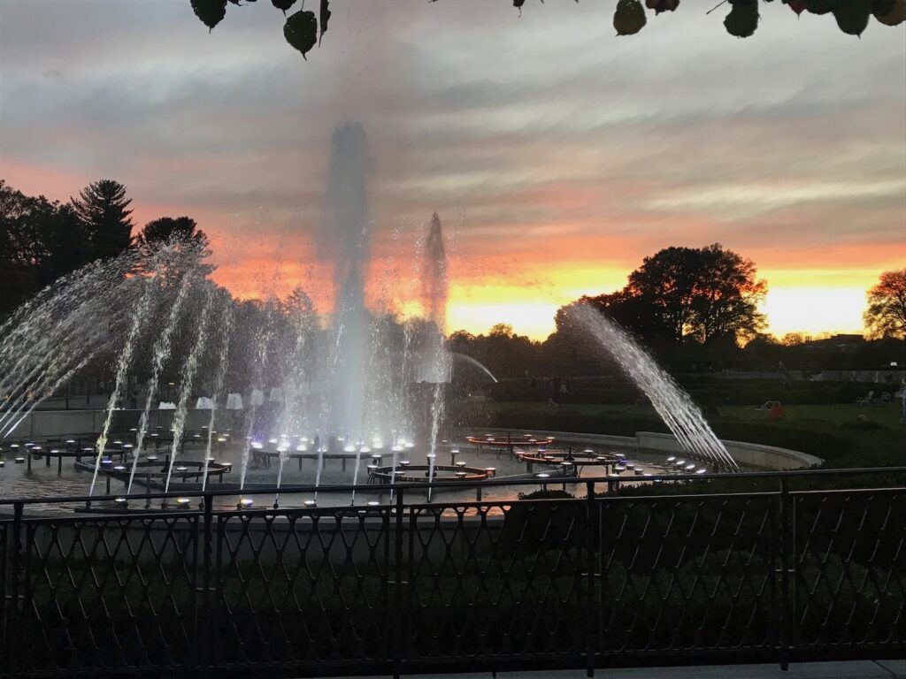 Colorful sunset over illuminated fountain water jets in a landscaped park with trees silhouetted against the evening sky.