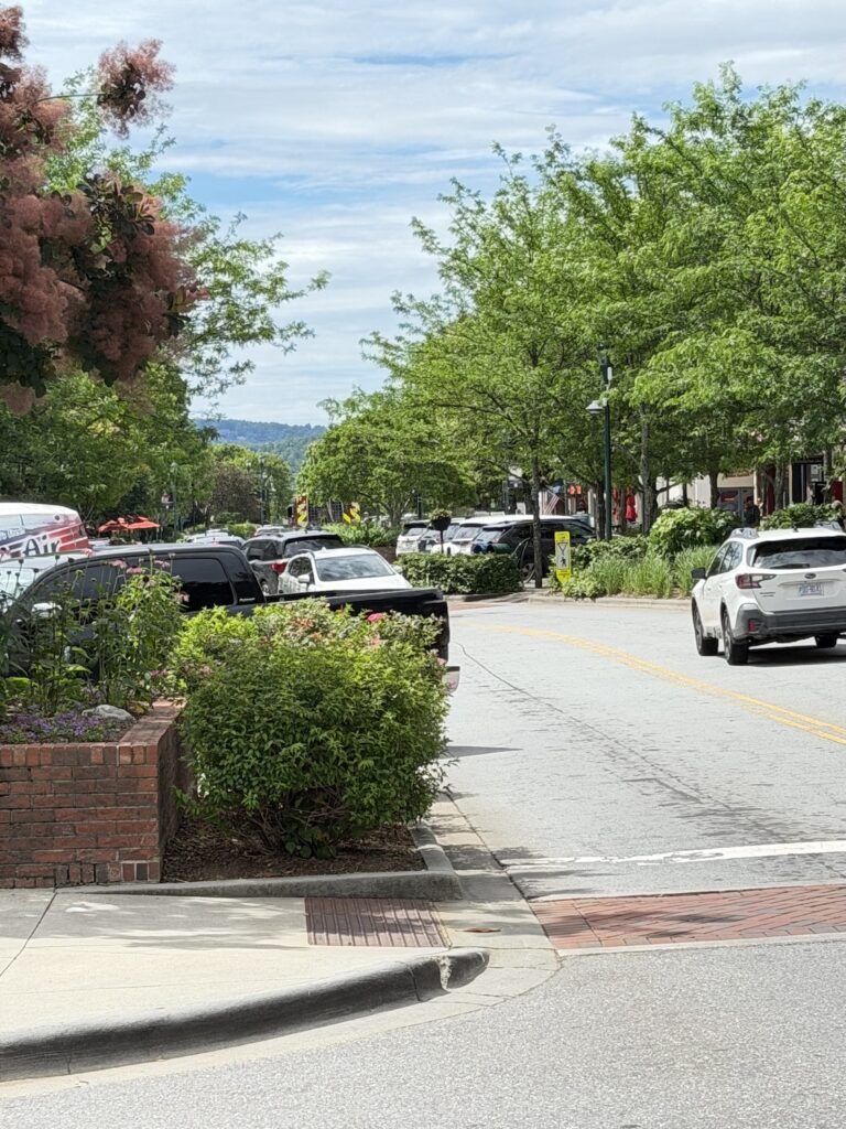 Tree-lined street in historic downtown Hendersonville, North Carolina, featuring brick planters, colorful landscaping, local shops, and scenic Blue Ridge Mountain views in the distance.