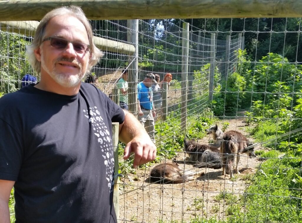 Visitor standing beside wolf enclosure at Lititz Wolf Sanctuary in Pennsylvania