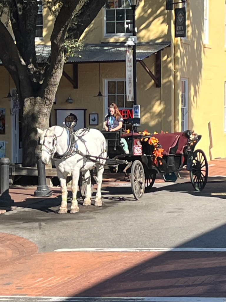 Horse-drawn carriage waiting on a historic Savannah street