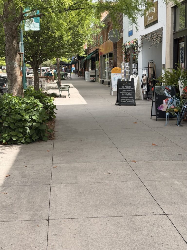 Shaded sidewalk lined with local boutiques, gift shops, and greenery in historic downtown Hendersonville, North Carolina, creating a welcoming atmosphere for visitors.
