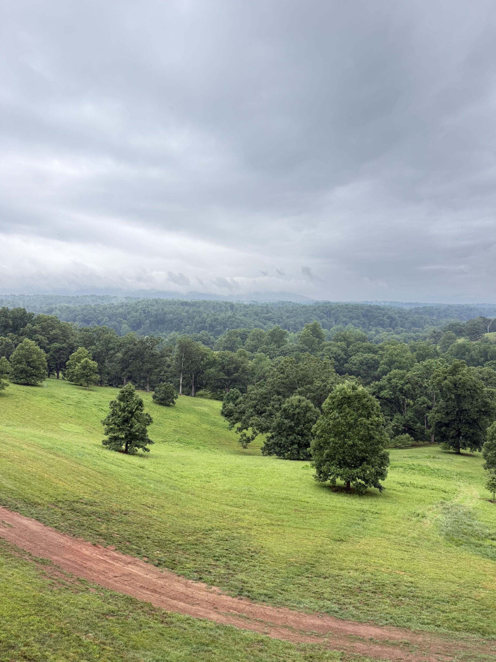 Misty hills across the Biltmore Estate grounds