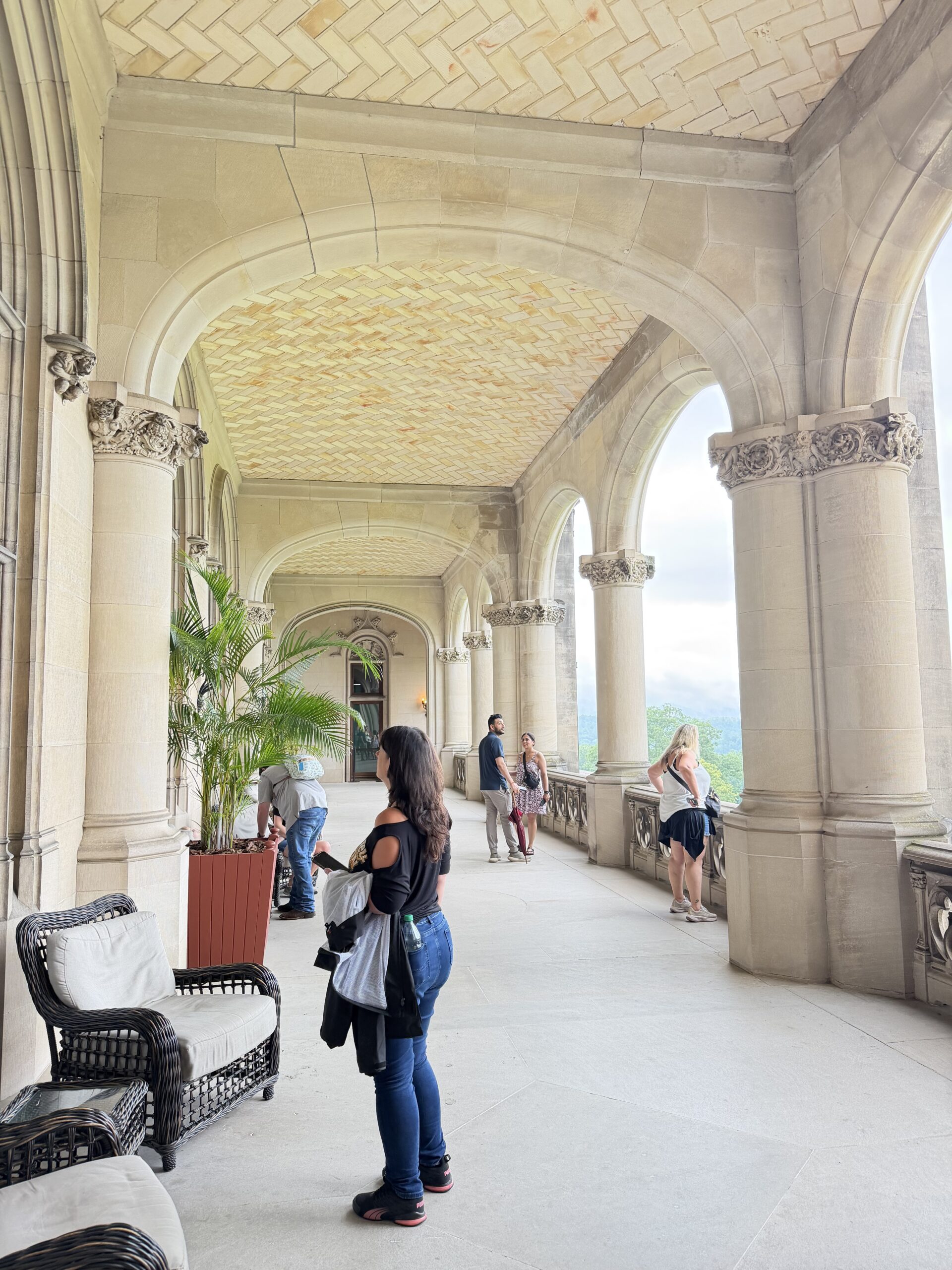 Blue Ridge Mountain view from the arched Loggia at Biltmore House